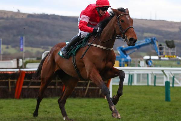 Laurina can prove she’s the real deal in Champion Hurdle