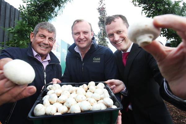 Codd Mushrooms brand in €9m deal with Aldi