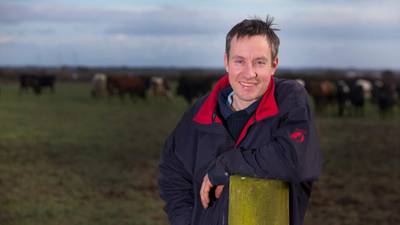 How a Wexford farmer moved from beef to dairy
