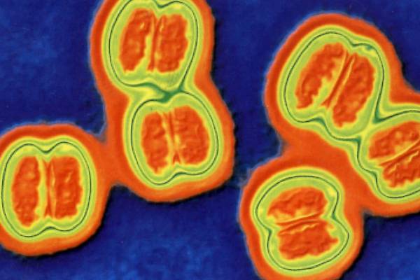 What is bacterial meningitis and what are the symptoms?