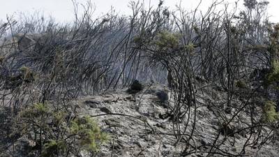 Conservation group lodges gorse fire complaint with European Commission