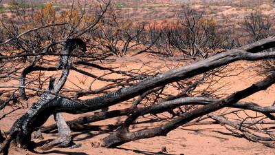US faces worst droughts in a thousand years, scientists say