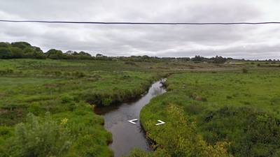 Large fish kill in Cork river due to suspected slurry spill
