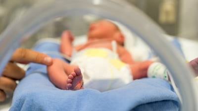 Births rise 10% in Rotunda after declining during pandemic