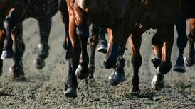 Further complaint made to department over State stud book contract