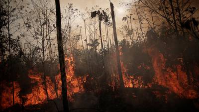 Amazon fires: Brazilian states ask for military help amid record blazes