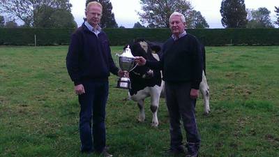 Limerick farmer is cream of the crop