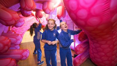 Science Week shows reveal digestive system journey