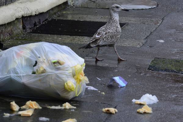 Dublin streets to say goodbye to the bin bag, hello to the Bagbin
