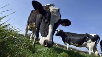 Irish beef back on the menu as Canada reopens market