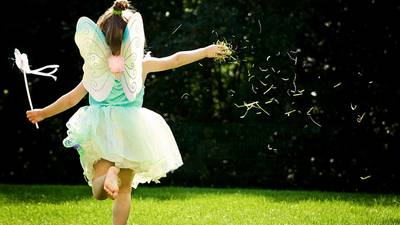 Help Ireland beat world record at Irish fairy festival