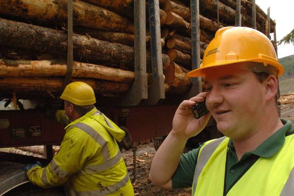 Inside Business podcast: Threat to Irish timber industry as UK leaves EU