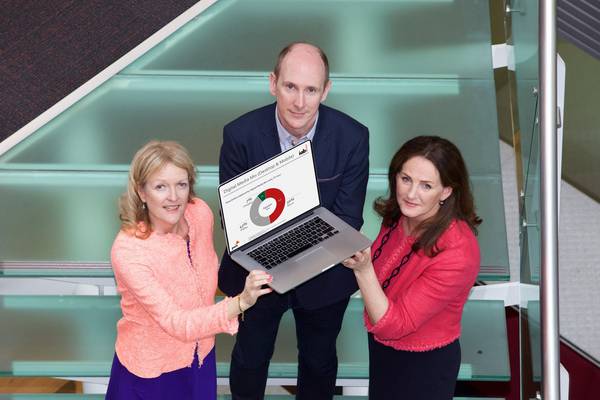 ‘Mature’ Irish digital advertising market nears half a billion euro