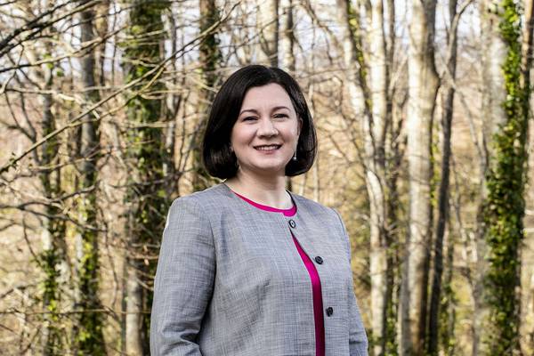 Coillte profits halve to €61m as timber prices fall