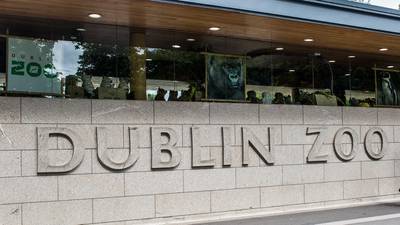 Damages claim of girl stung by wasps at Dublin Zoo is dismissed