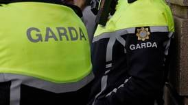 Garda injured in ammonia attack after stopping stolen car in Dublin released from hospital