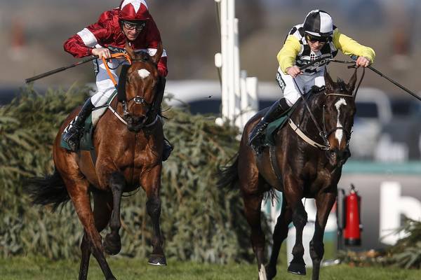 Aintree Grand National: A horse-by-horse guide to the big race