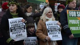 Sweden had to reverse privatisation of State forestry, expert says