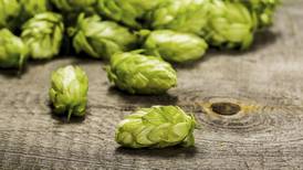Beerista: The rise of single hop beers