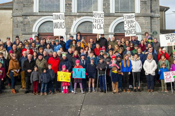 ‘Rigorous policy’ of cutting down trees prompts protest in Tipperary