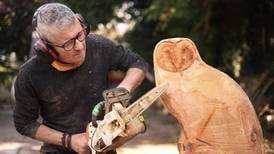 My construction company collapsed in the crash – so I reinvented myself as a chainsaw sculptor