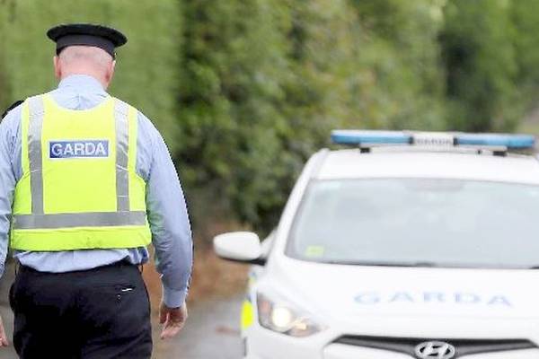 Farmer in his 70s dies in accident on Co Limerick farm