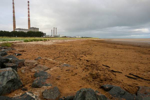 Beach near Dublin’s wastewater plant blanketed in noxious material
