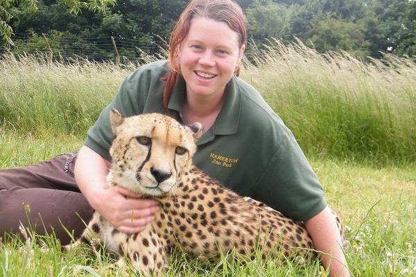 Tributes paid to zookeeper killed by tiger in ‘freak accident’