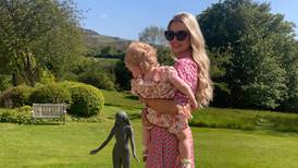 Rosanna Davison: ‘I’m still waiting two years later to apply to be my daughter’s guardian’