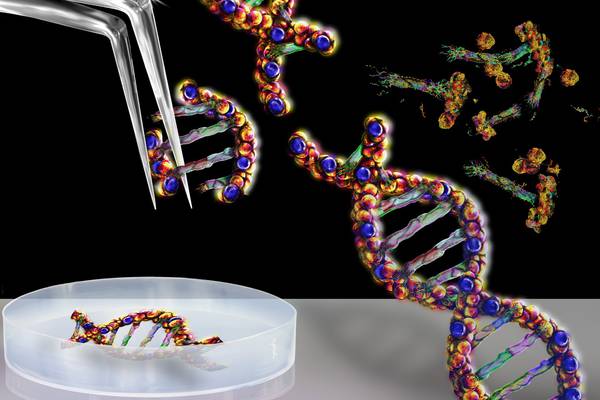 Advances in gene editing top poll of Irish Times readers