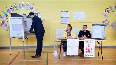 Referendum result challenger seeks electoral registers