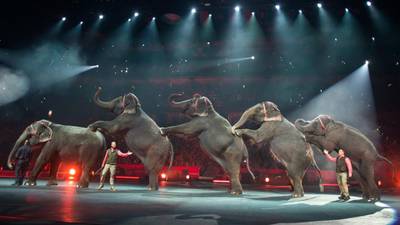 Ringling Bros and Barnum & Bailey Circus to stop elephant acts by 2018