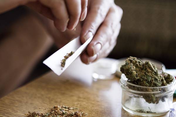 Cannabis use by young significantly increases mental health risks