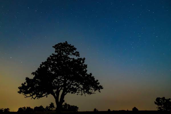 The Perseids meteor shower: Heavy cloud scuppers Irish stargazers’ night
