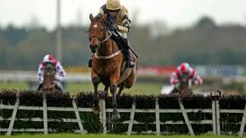 Shaneshill makes winning chasing debut at Thurles