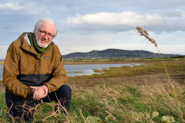 Investment of €1.38bn required to protect Irish habitats – Cabinet told