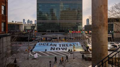 High seas treaty: UN reaches agreement to protect international waters