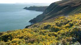 Woman rescued after falling on Howth Head cliffs