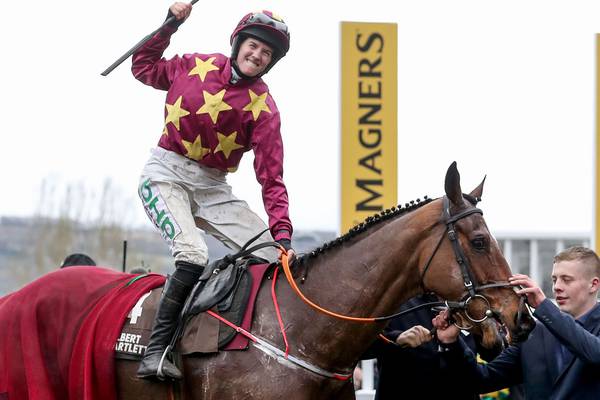 Minella Indo to continue Cheltenham preparations with Navan outing on Sunday