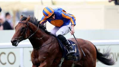 River Tiber set to lead Ballydoyle team into Irish 2,000 Guineas at the Curragh