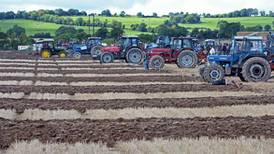 More than 250,000 to attend National Ploughing Championships
