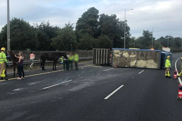 M50 partially closed after truck carrying horses overturns