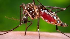 Three-way race to develop vaccine for Zika virus