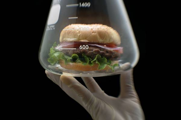 Would you eat a burger made with lab-grown meat?
