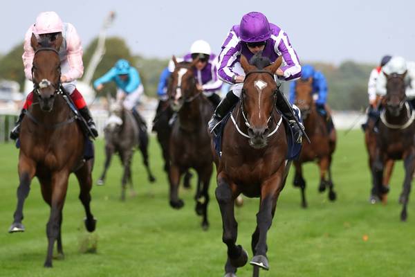 Aidan O’Brien’s Kew Gardens a game winner of Doncaster St Leger