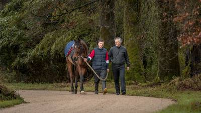 ‘I was being an eejit,  but after going to Jim Bolger’s yard, I woke up’