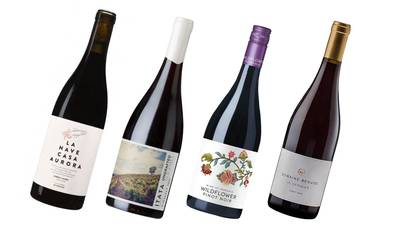 Low alcohol red wines perfect for summer evenings