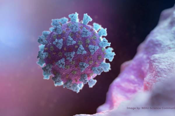 Covid-19: Open Orphan to carry out 3,000 antibody tests per day