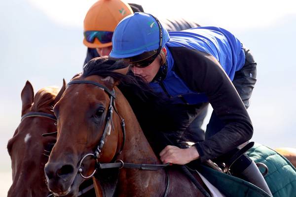 Johnny Murtagh backs teenage jockey Ben Coen as a true rising star