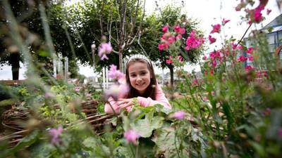 Garden  grows interest in medieval Limerick